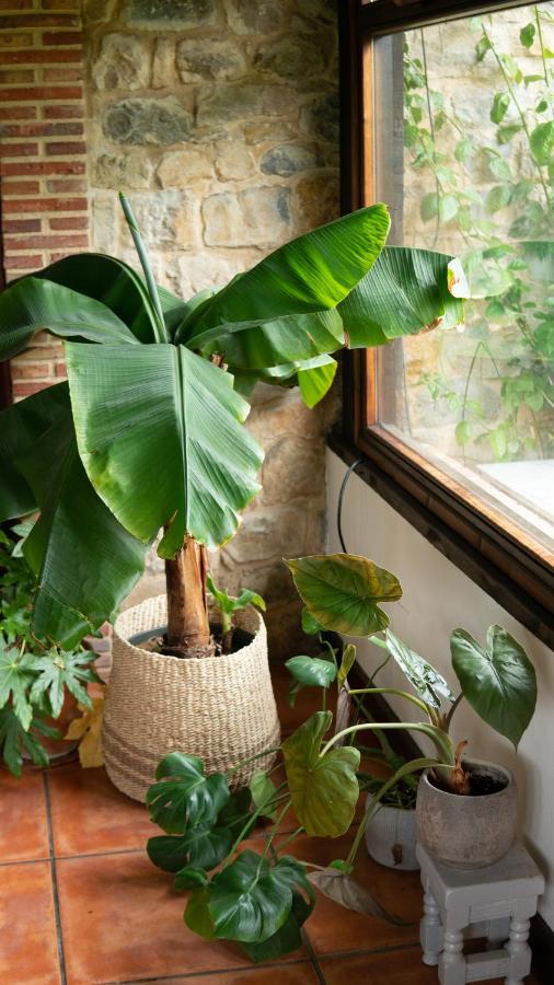 Casa 'Ohana Rioturbio エクステリア 写真